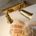 Pimlico Double Spot Wall Light