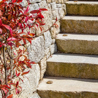 Soho Lighting Chelsea IP68 Solid Brass Step Wall Light 12V DC 4000K with 3 Metre Cable